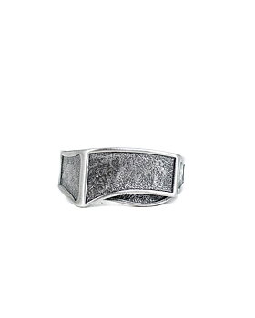 Jernhest - Derek Silver - Steel ring