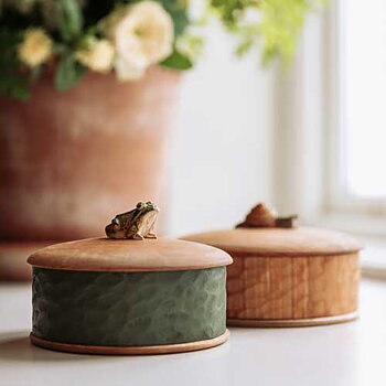 Wooden Box Frog