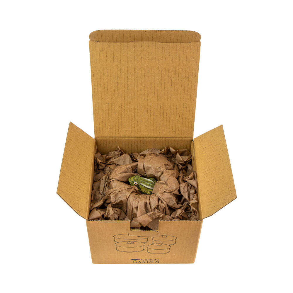 Coffret Grenouille - 8