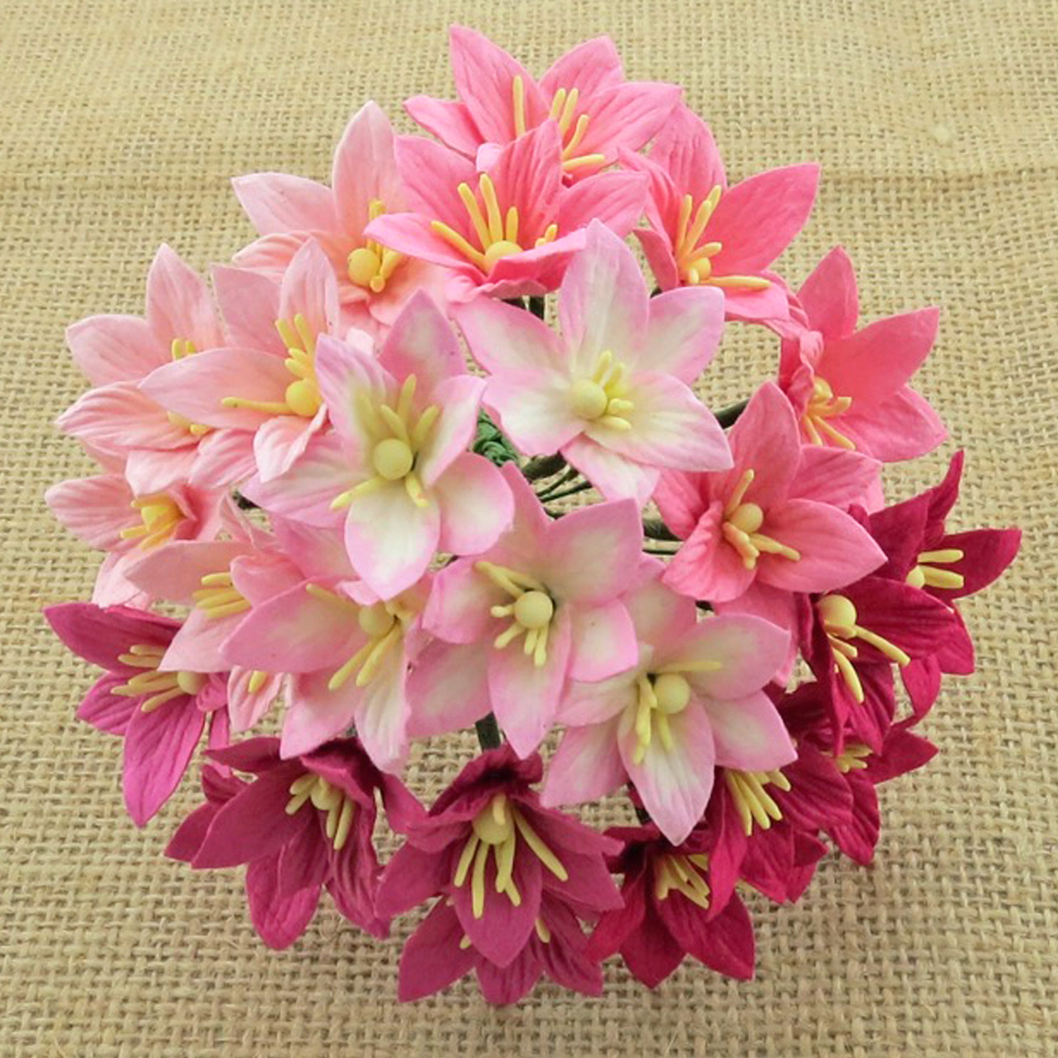 Lily Mixed Pink