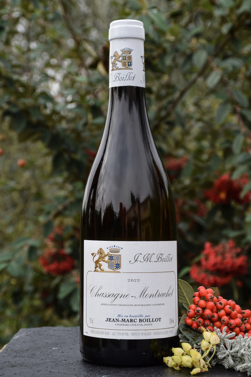Chassagne Montrachet  2022 - vitt