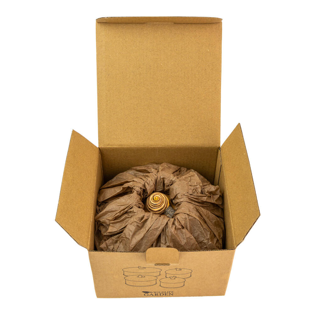 Kästchen Schnecke - 9