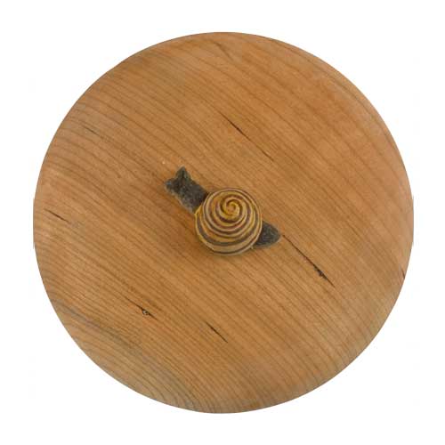 Kästchen Schnecke - 7