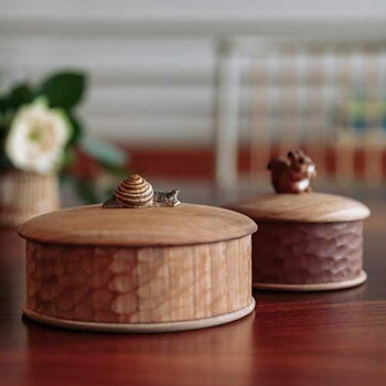 Wooden Box Snail