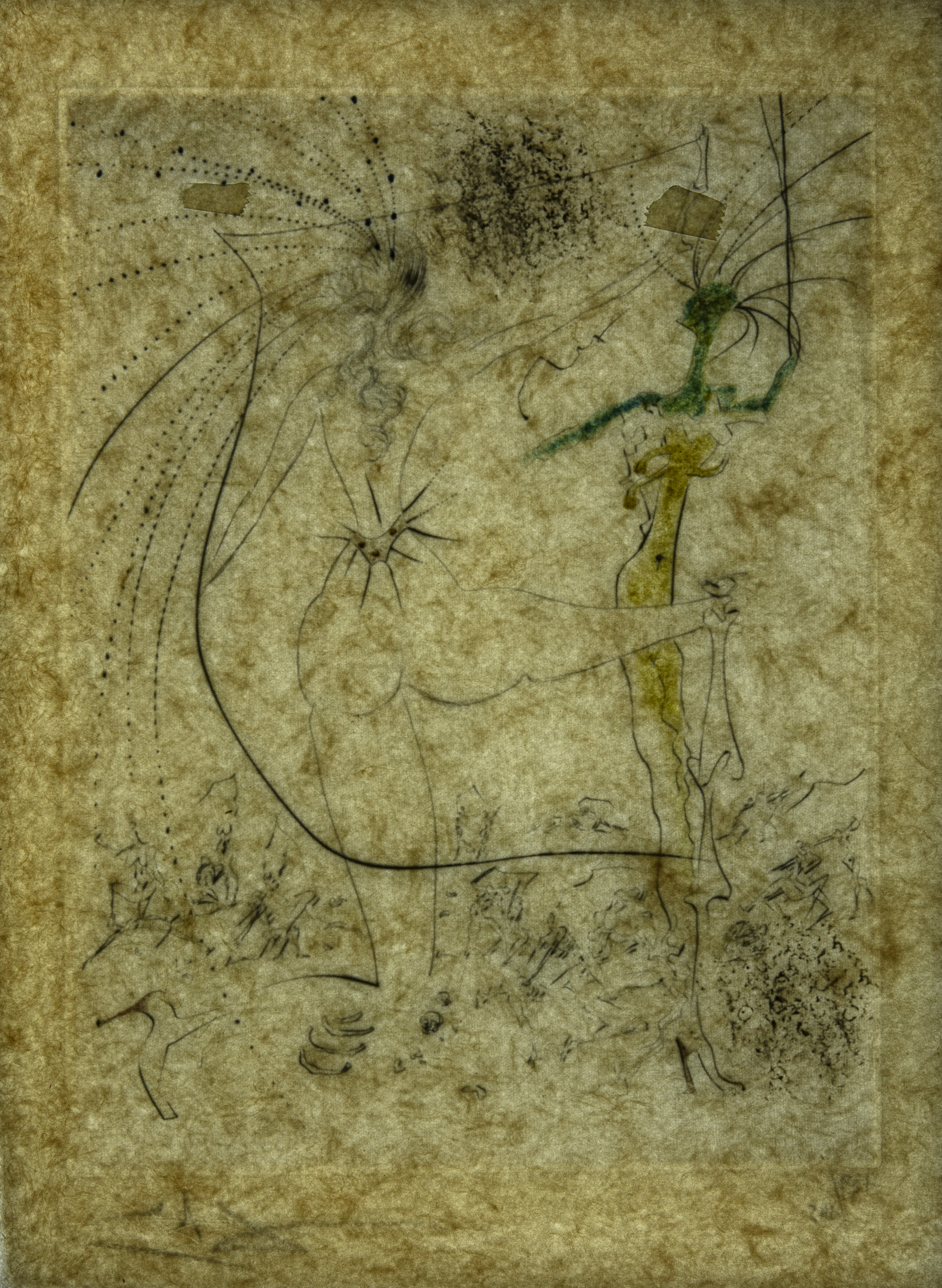 Les Fesses Piquantes - La Venus aux Fourrures - 5