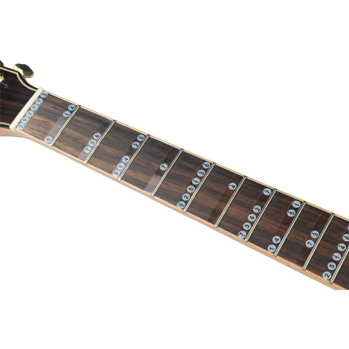 Guitto GFM-01 klistemärke till gitarr - 4