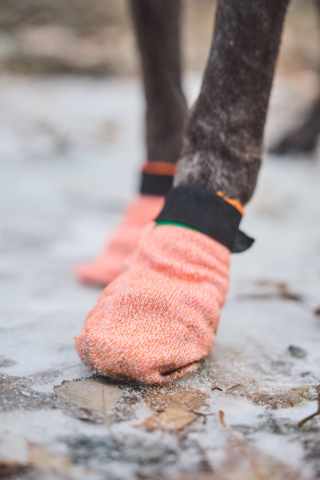 Non-Stop PROTECTOR LIGHT SOCKS - 2