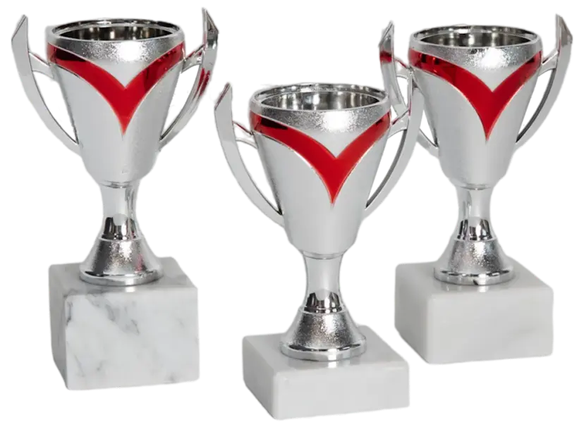 Pokal Victory- Rubin