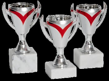 Pokal Victory- Rubin