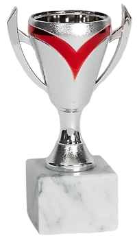 Pokal Victory- Rubin