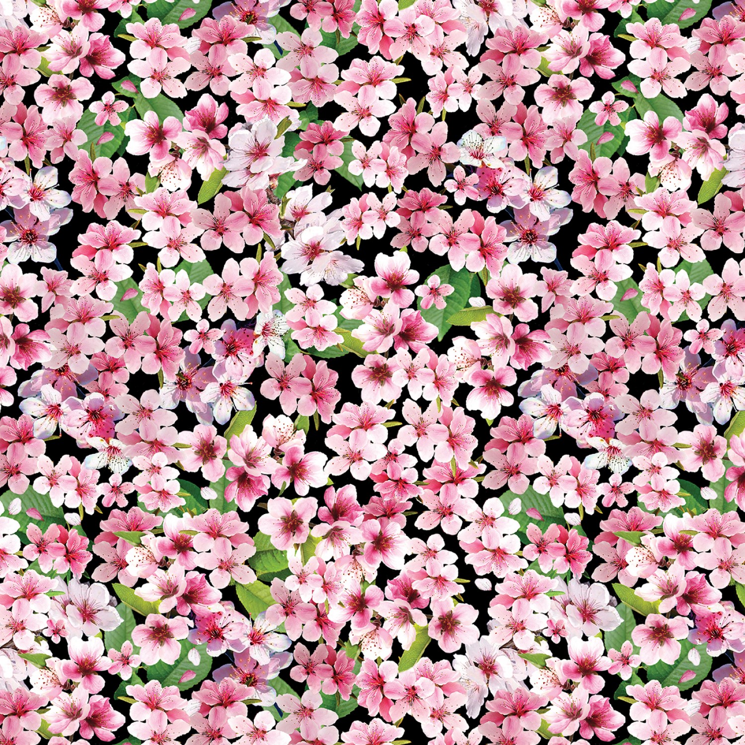 Cherry Blossoms Black - Cherry Hill (30 x 110 cm)