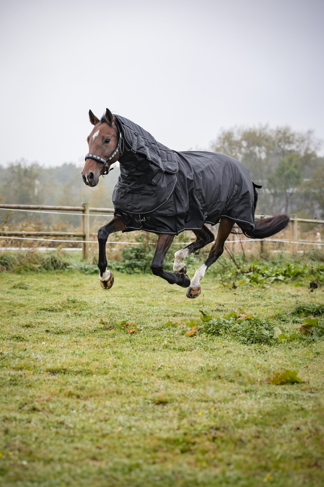 CATAGO Endurance 2.0 utedekken 1680D, 150g - 2