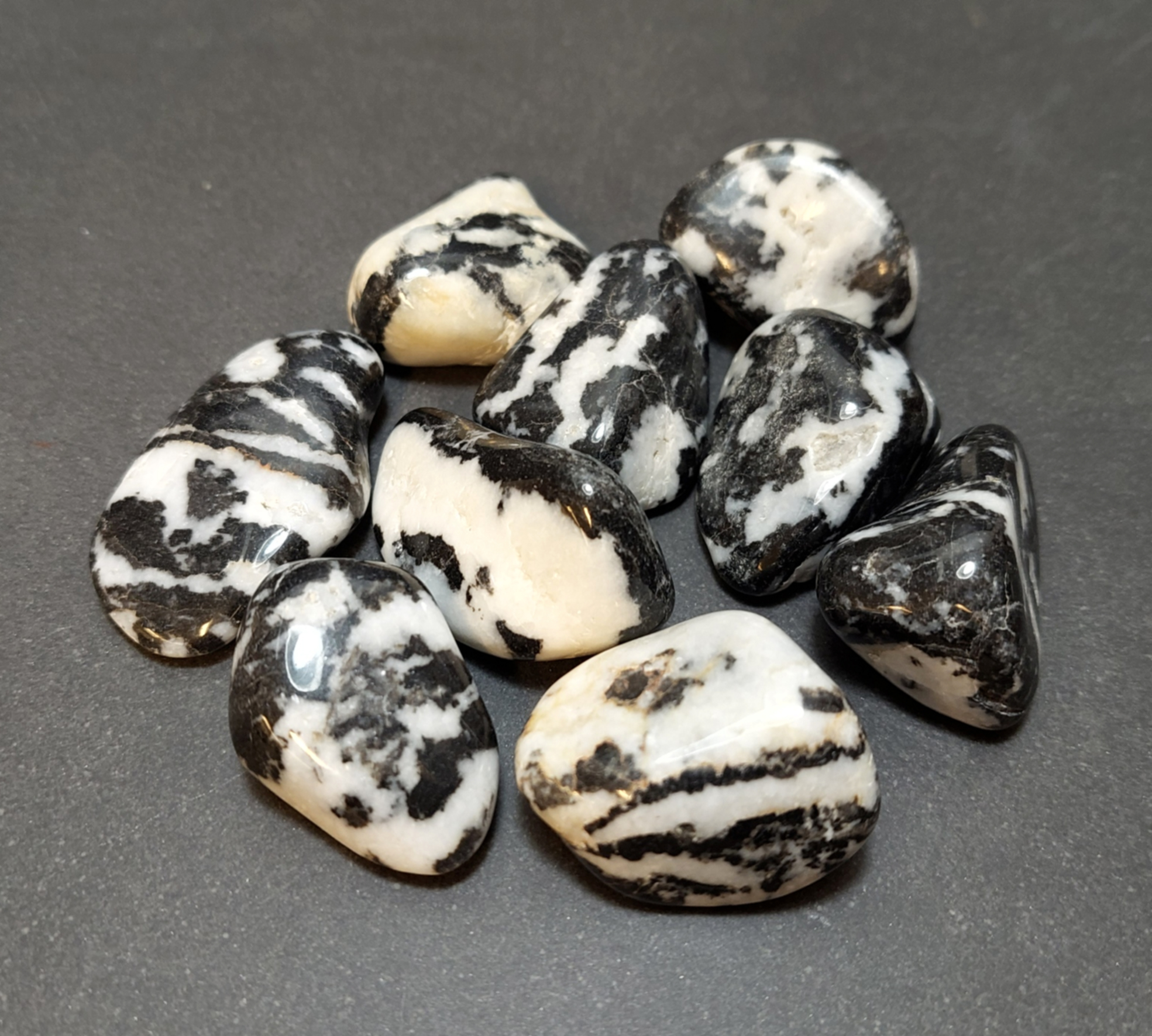 Trumlad Zebra Jaspis - Svartvit