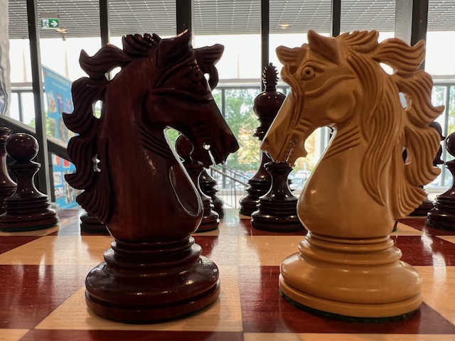 Andalusian 4.5 " budrosewood - 18