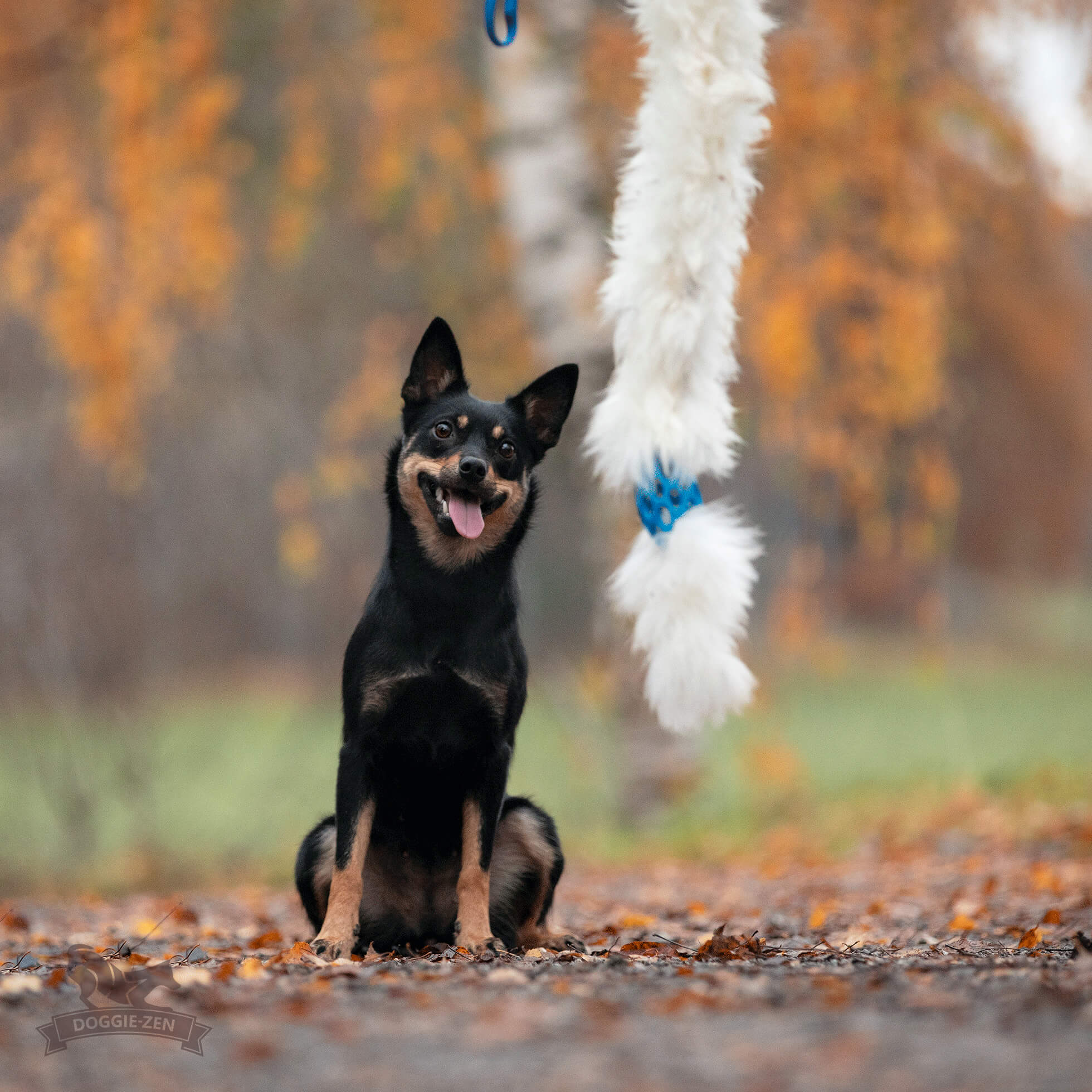 Bungee Hol-ee Comet Chaser Tug S Sheepskin - 2