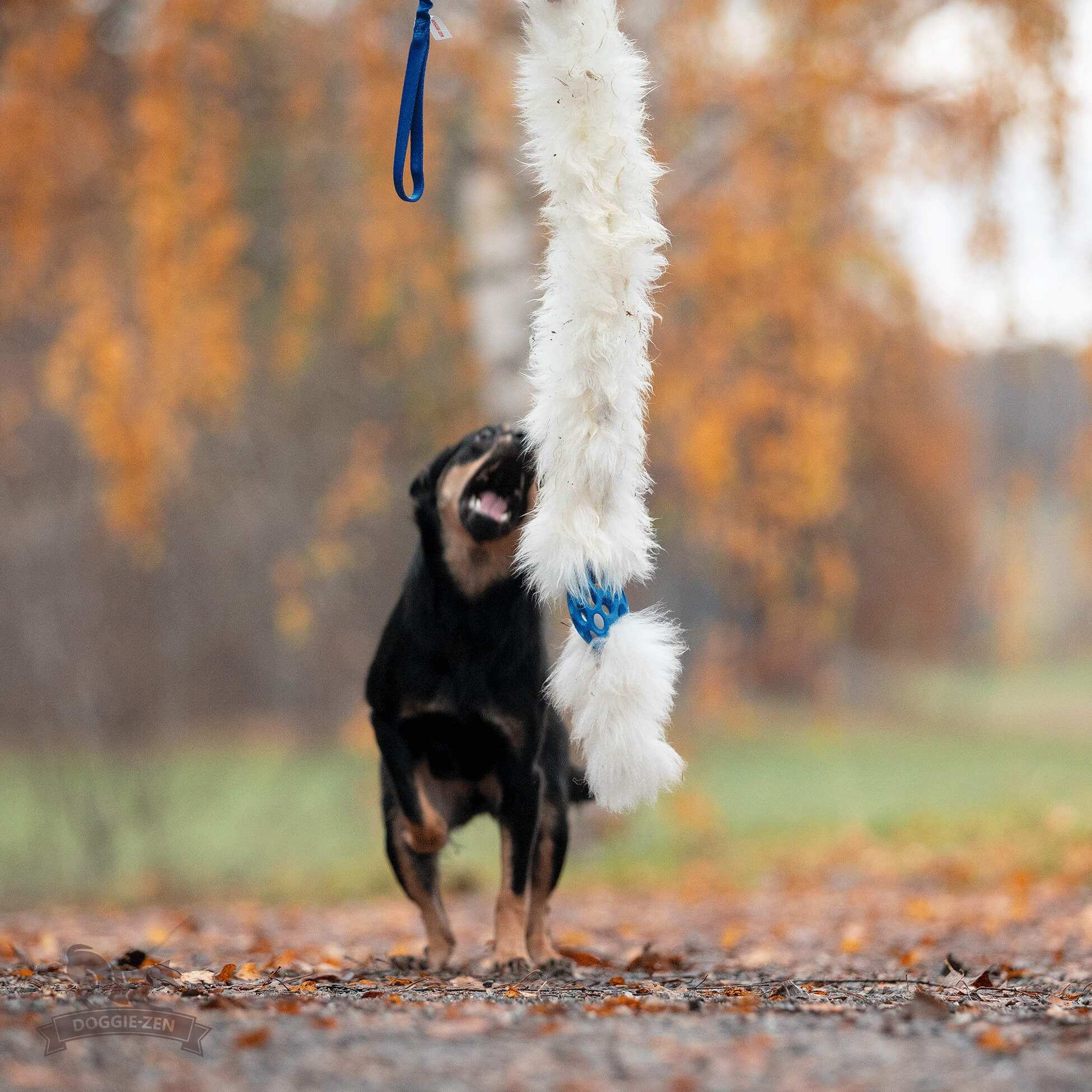 Bungee Hol-ee Comet Chaser Tug S Sheepskin - 4
