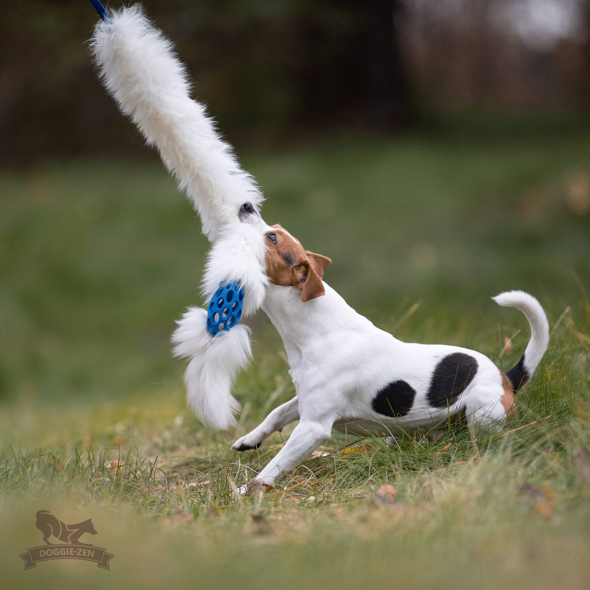 Bungee Hol-ee Comet Chaser Tug S Sheepskin