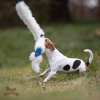 Bungee Hol-ee Comet Chaser Tug S Sheepskin