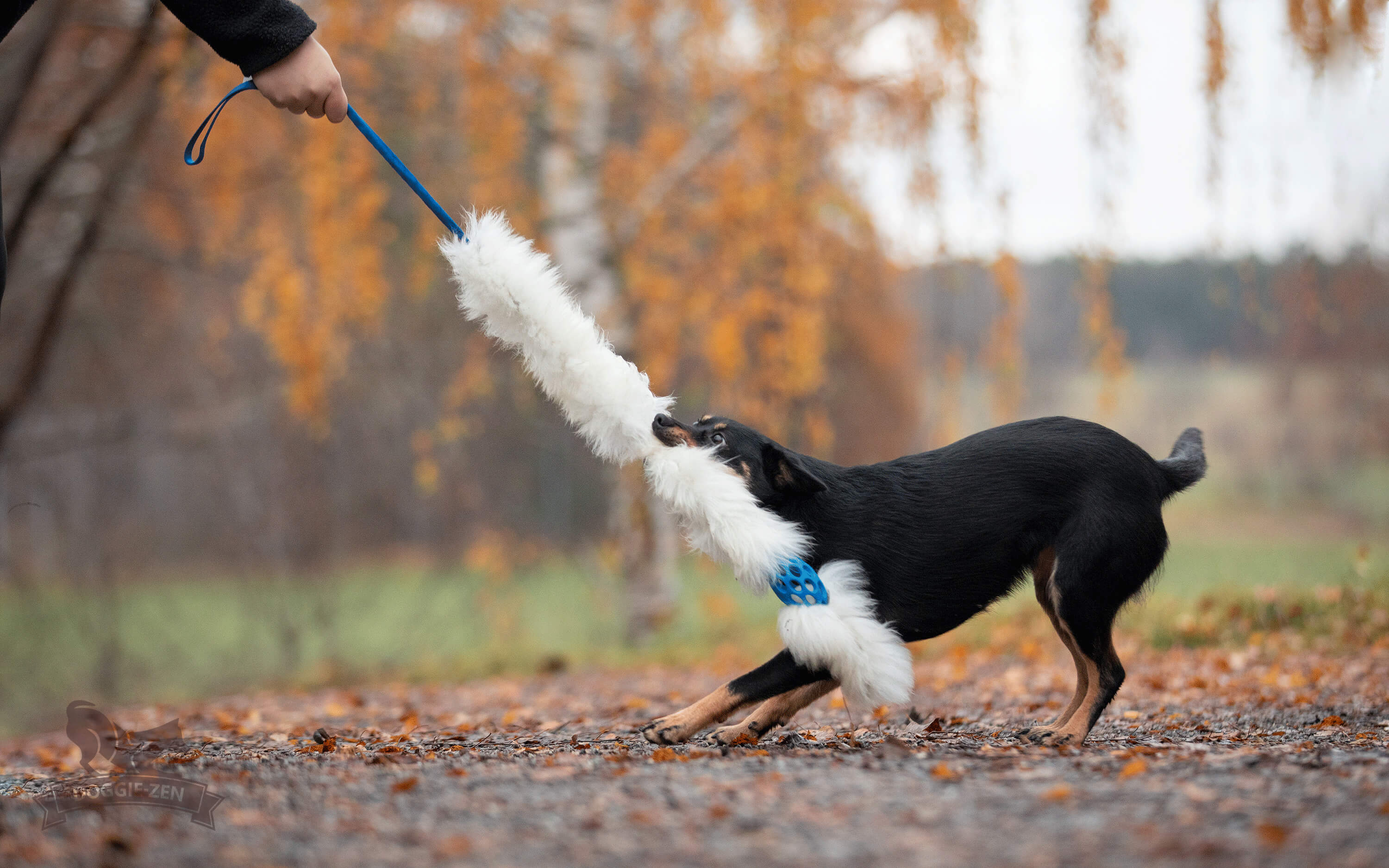 Bungee Hol-ee Comet Chaser Tug S Sheepskin - 3