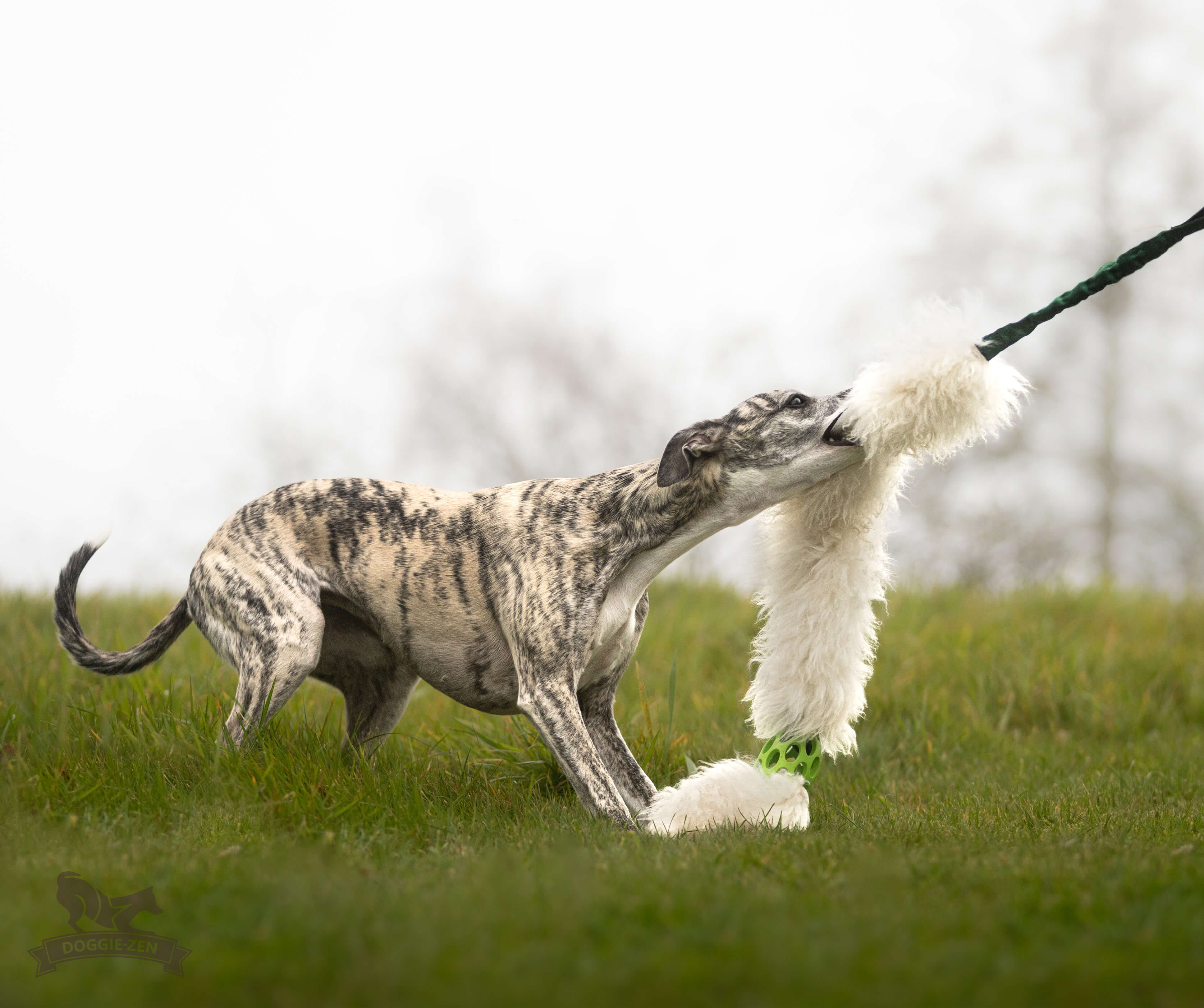 Bungee Hol-ee Comet Chaser Tug L Sheepskin - 6