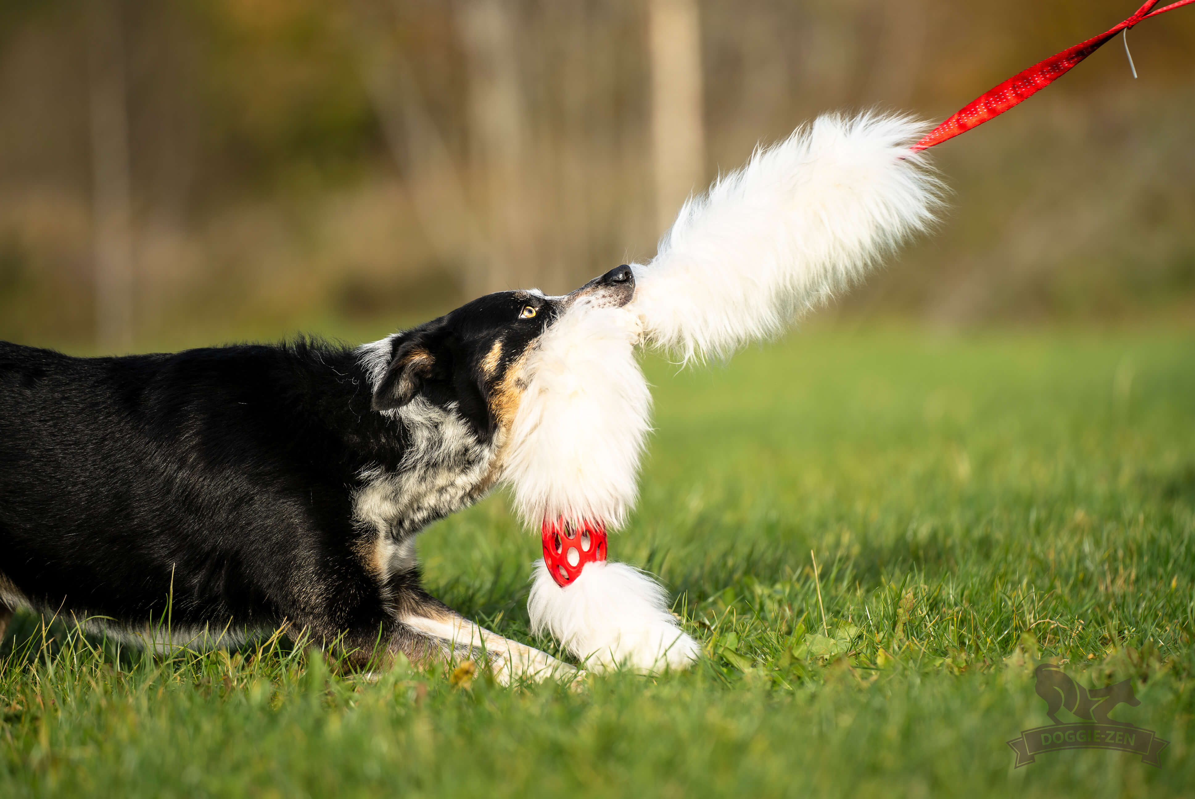Bungee Hol-ee Comet Chaser Tug L Sheepskin - 8
