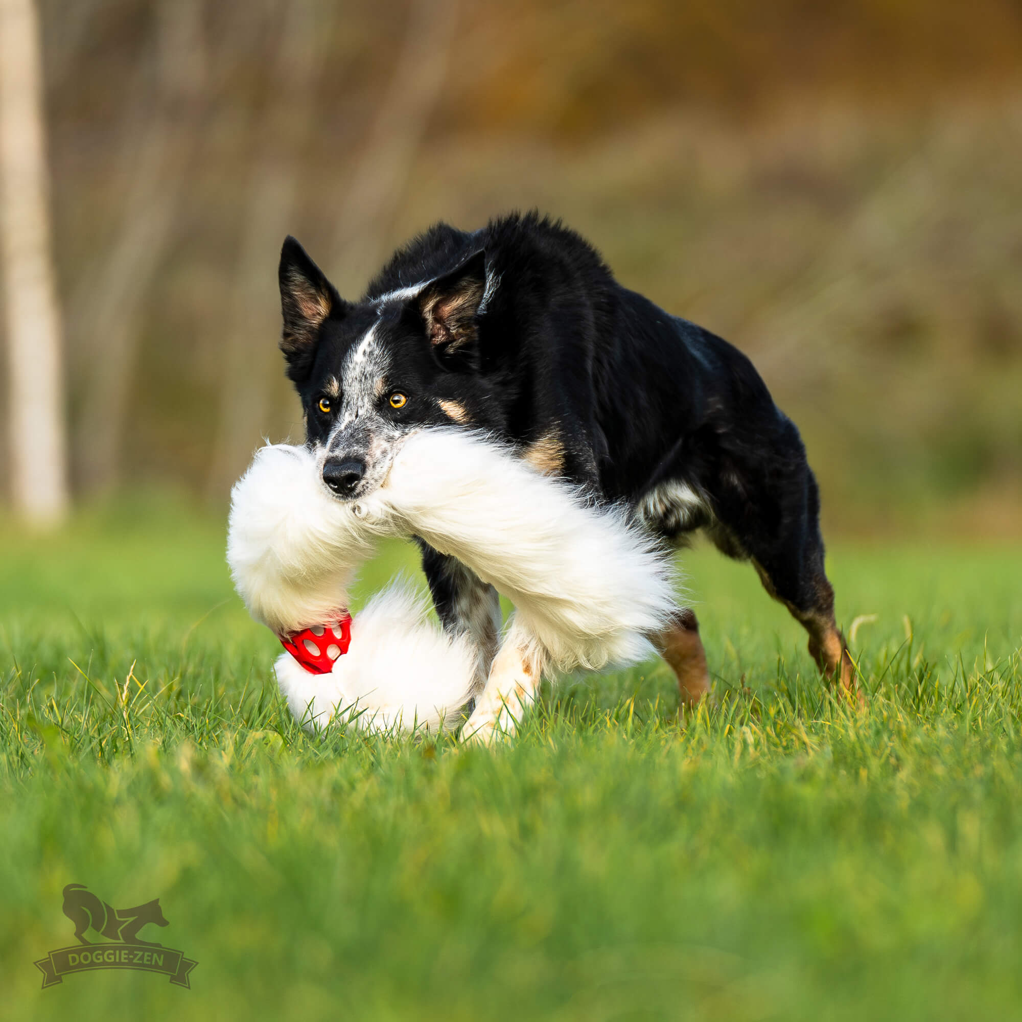 Bungee Hol-ee Comet Chaser Tug L Sheepskin - 9