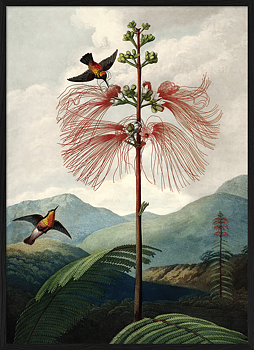 Tavla The Tree of Flowers