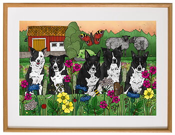 Affisch Fem border collies, 30x40 cm