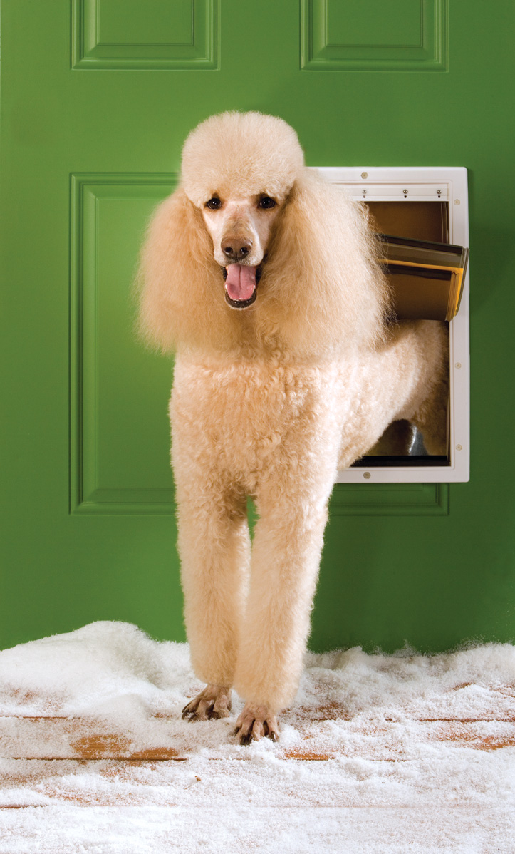 Petsafe Extreme Weather Door - Large 