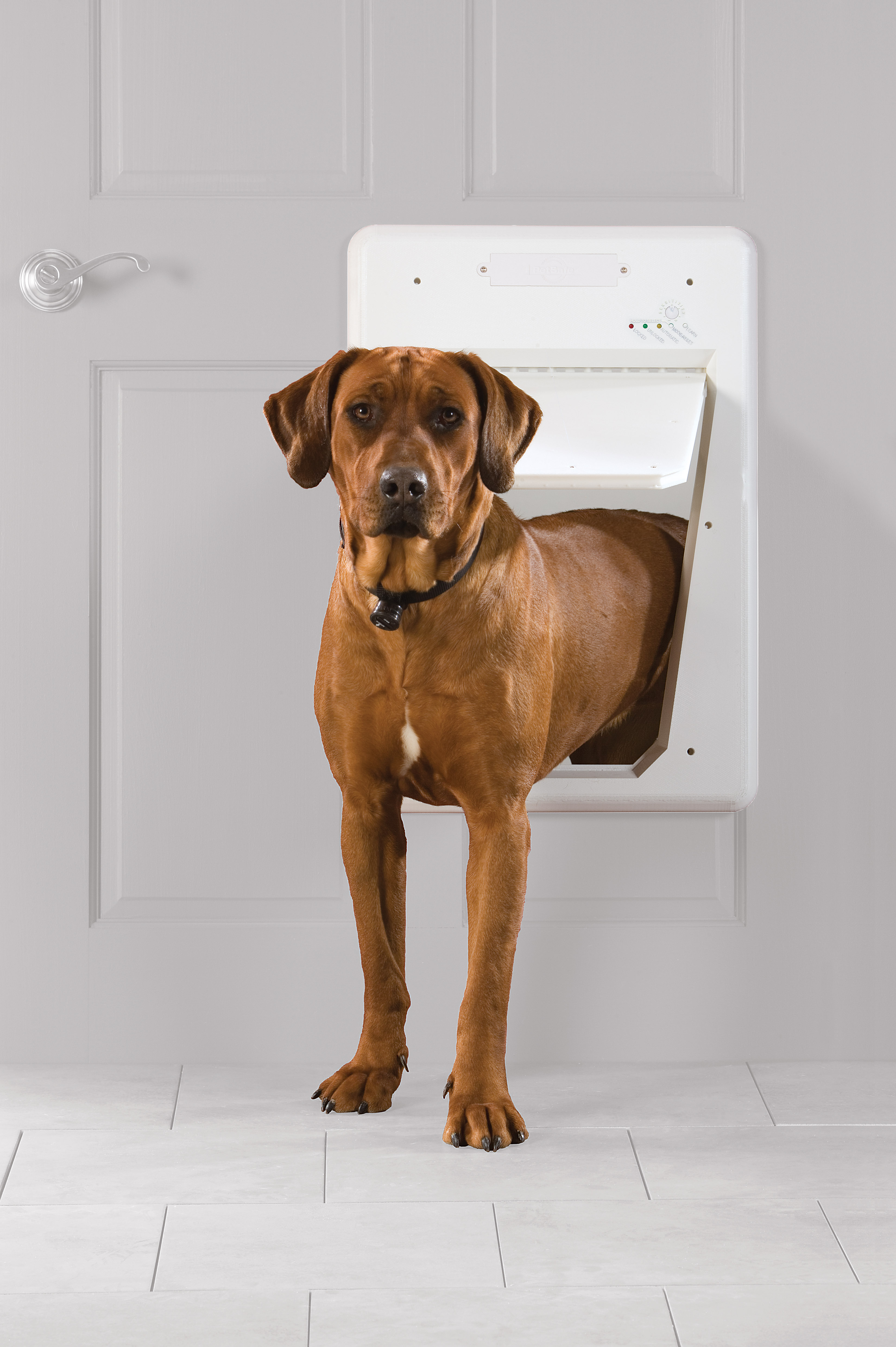 Petsafe electronic smartdoor store manual