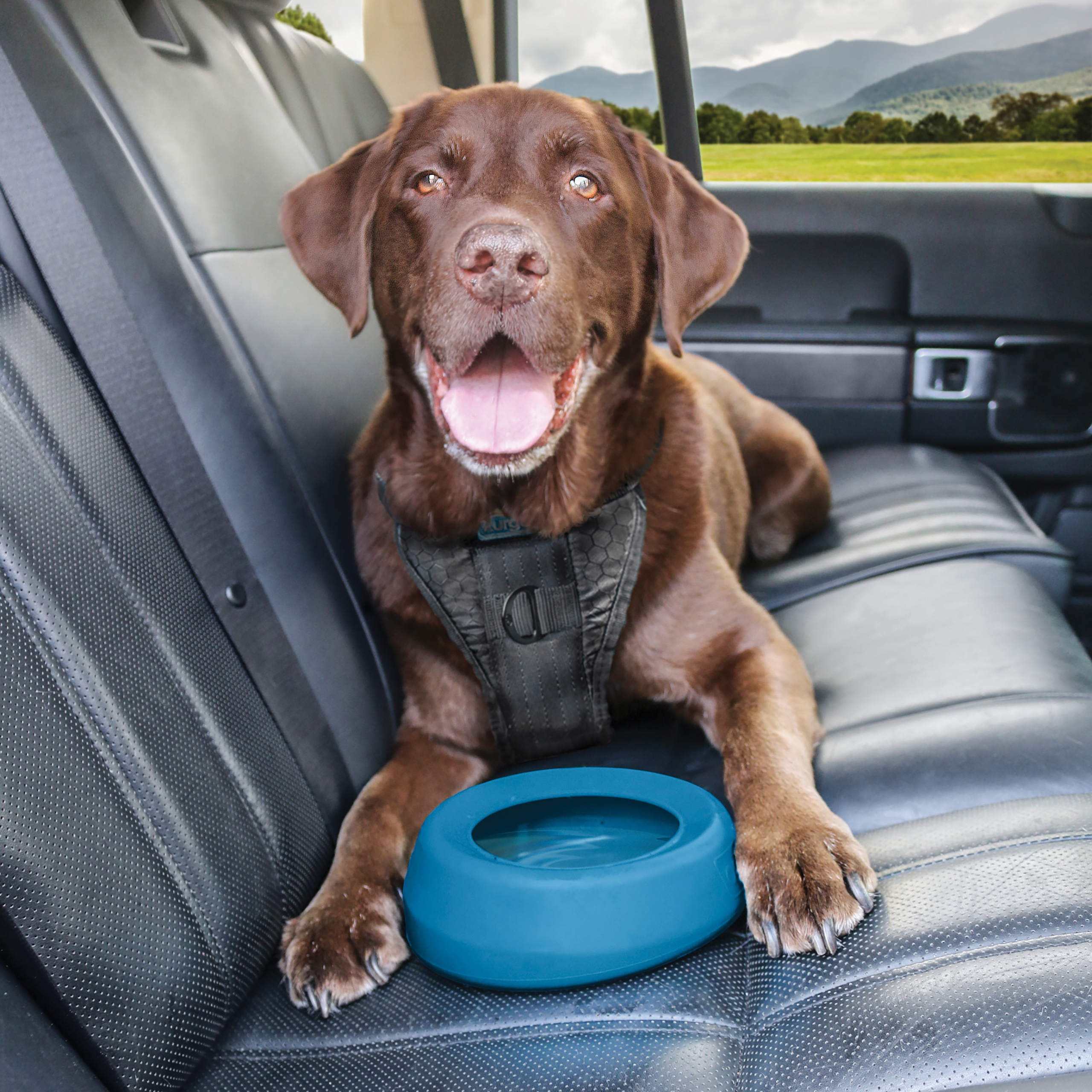 Kurgo Splash Free Bowl - Blue 