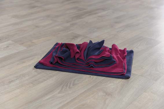 Dog Activity Sniffing Book, Nivå 1, 50 × 34 cm - 3