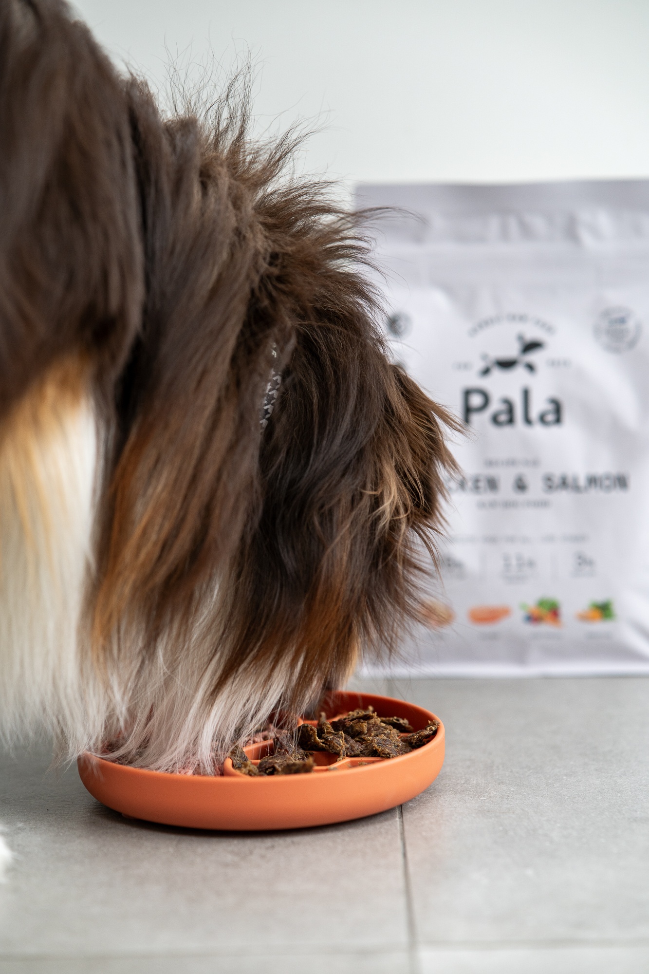Pala Recipe #2 - Chicken & Salmon 1 kg - 2