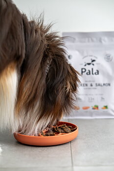 Pala Recipe #2 - Chicken & Salmon 1 kg