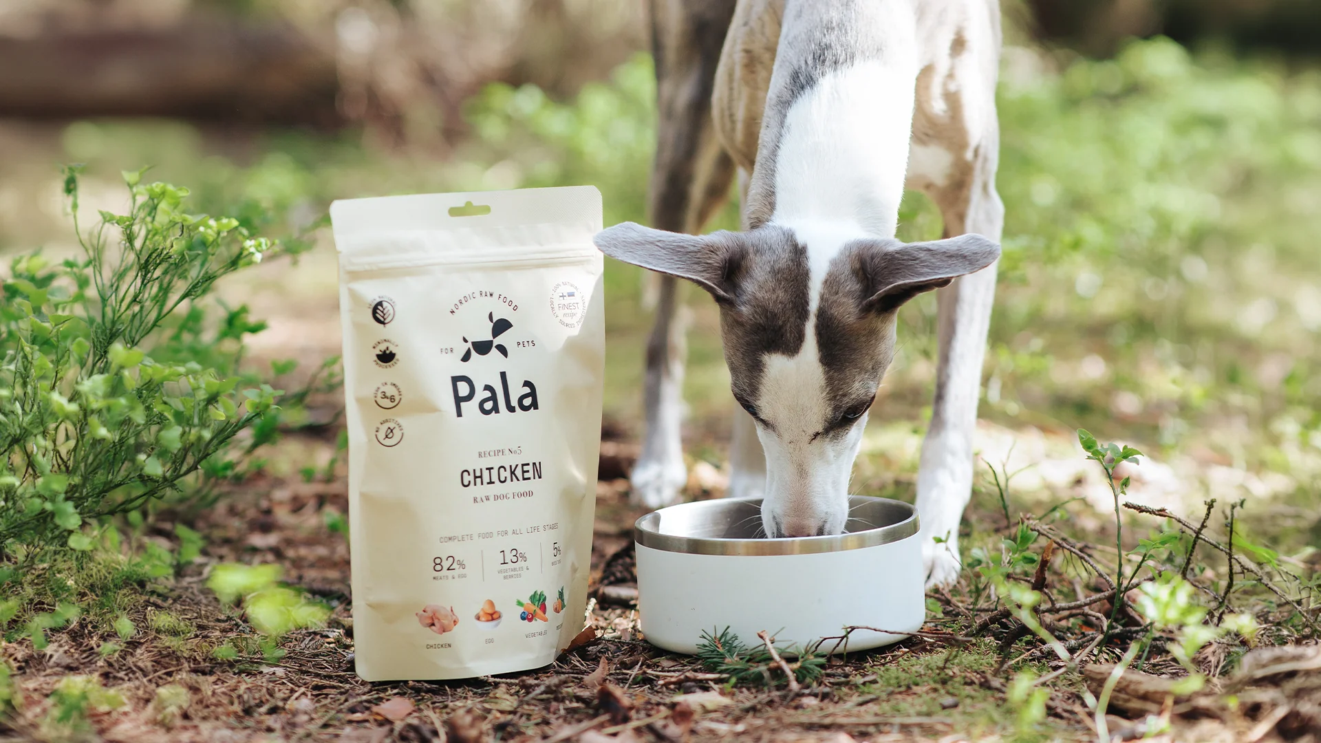 Pala Recipe #5 - Chicken 400 g - 2
