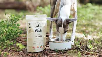 Pala Recipe #5 - Chicken 400 g