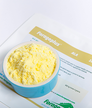 FORAGEPLUS ALPHA LIPOIC ACID ALA