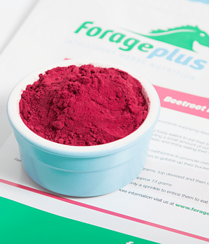 FORAGEPLUS BEETROOT