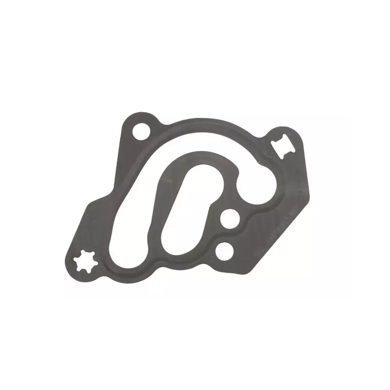 Gasket oil housing B284