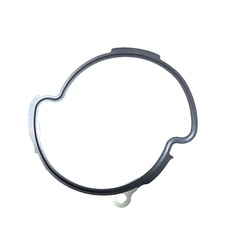Gasket V-pump B284