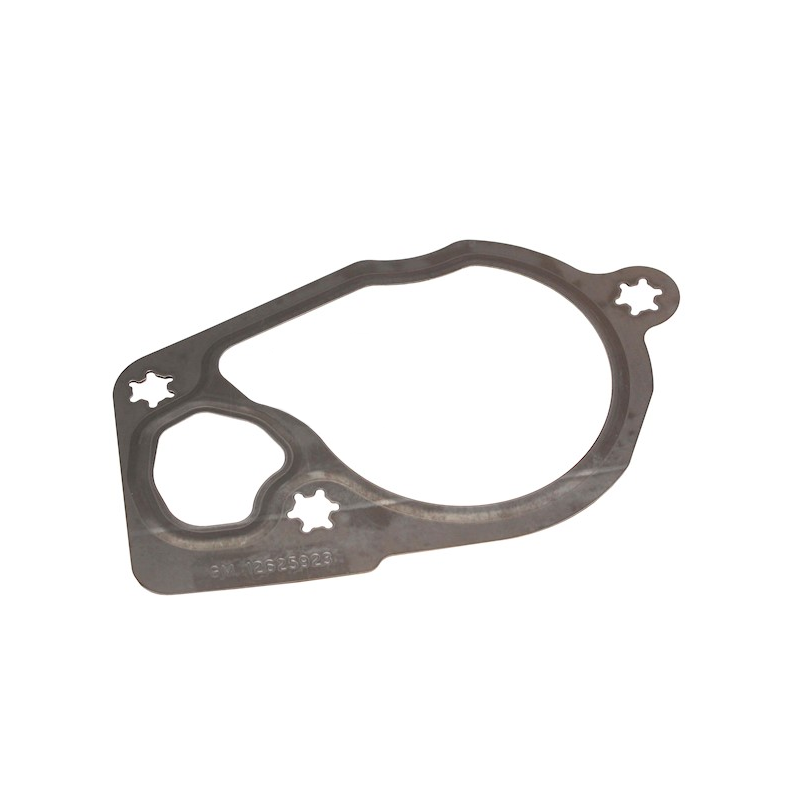 Gasket Termostathus B284 - 2