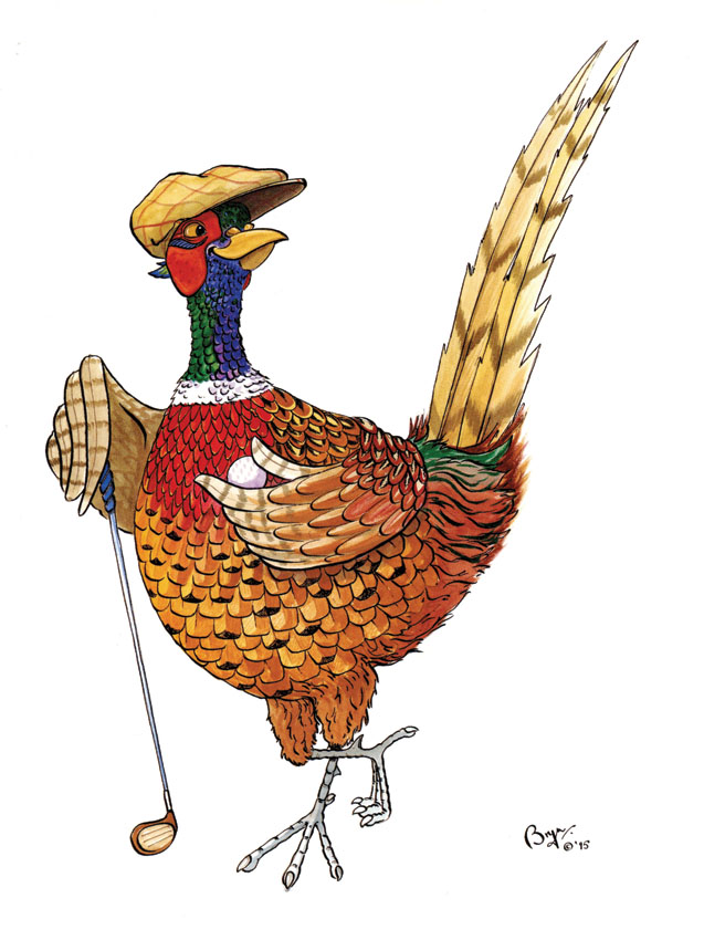 Pheasant Off Course