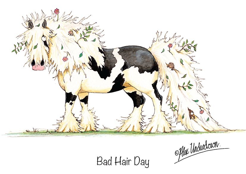 Bad Hairday