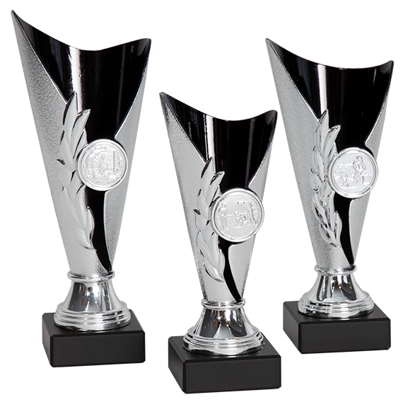 Pokal Blackpool