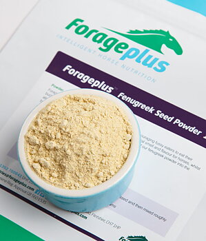 FORAGEPLUS FENUGREEK BOCKHORNSKLÖVER