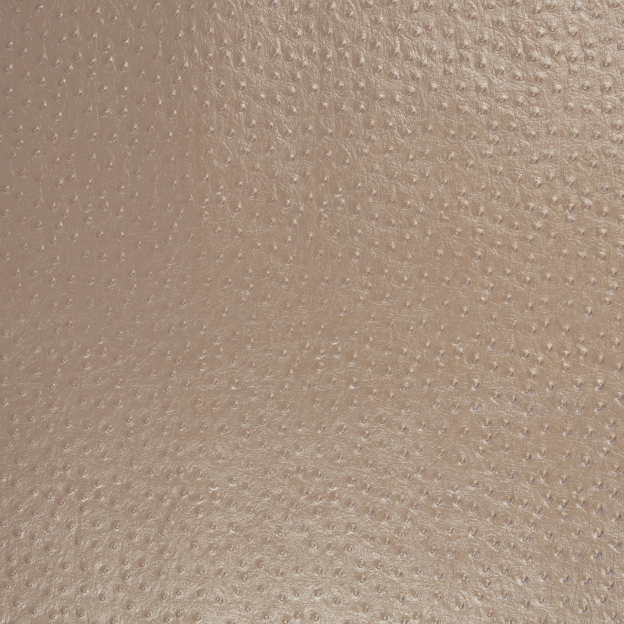 Aurora fuskskinn/vinyl - beige - 3