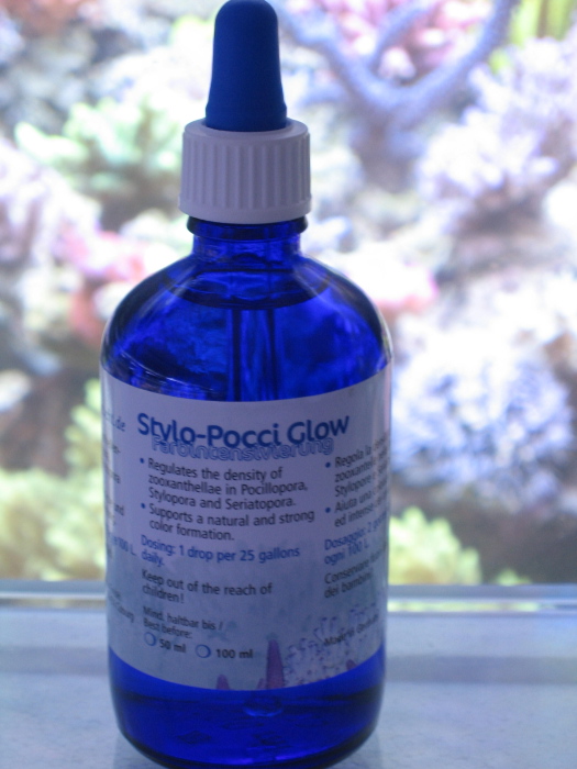 Korallen Zucht Stylo Pocci Glow