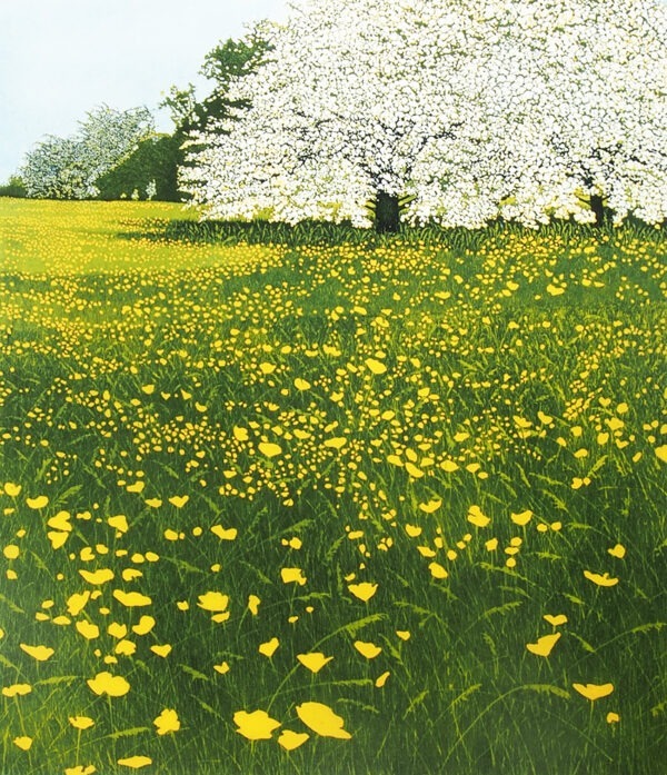 May, Greeting Card