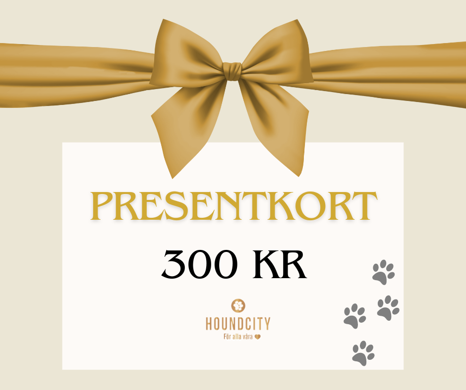 Gift Voucher 300 SEK