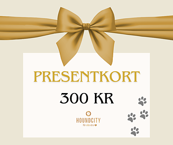 Gift Voucher 300 SEK